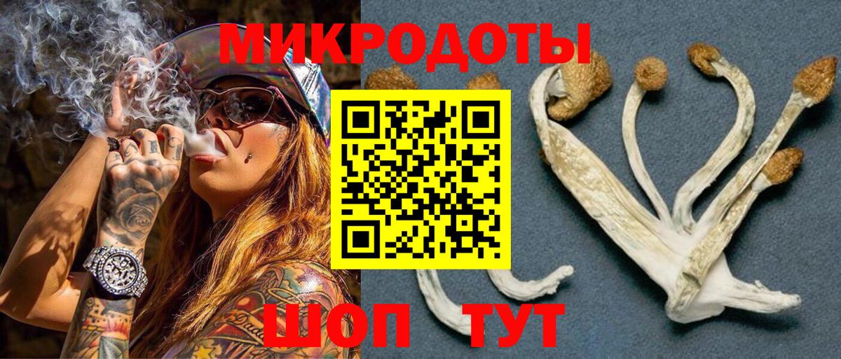 Галлюциногенные грибы мухоморы Лабинск