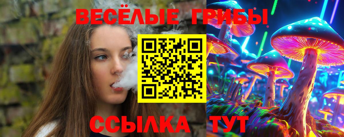 Лабинск  Псилоцибиновые грибы мицелий  Вход с VPN 